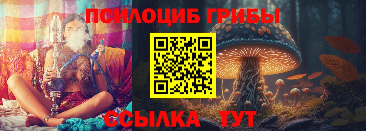 Галлюциногенные грибы GOLDEN TEACHER  Вход с VPN  сколько стоит  Галлюциногенные грибы Psilocybine cubensis  Знаменск 
